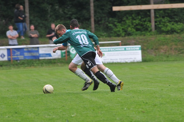 的最大底气 的最大底气