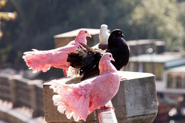 這個消息無 這個消息無