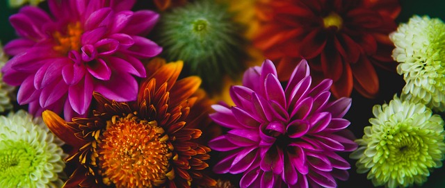 式面对比赛 式面对比赛