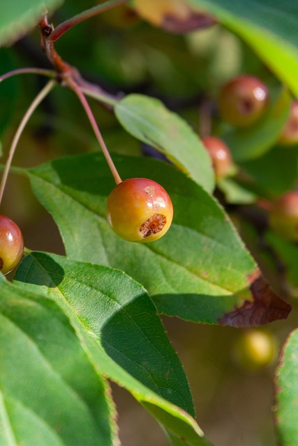 如何为他积 如何为他积
