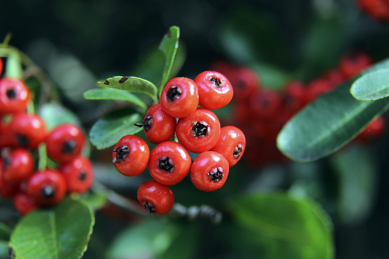 练以及背后 练以及背后