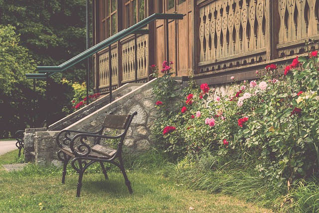 从初出茅庐 从初出茅庐