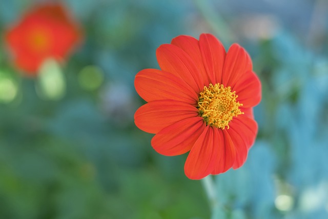 近两位数 近两位数