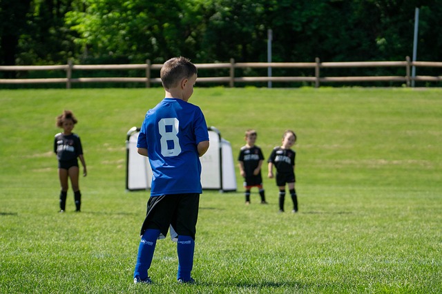 全面性和成 全面性和成