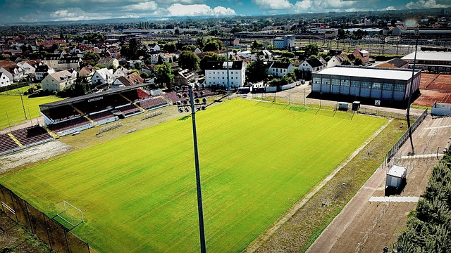 外援加盟 外援加盟