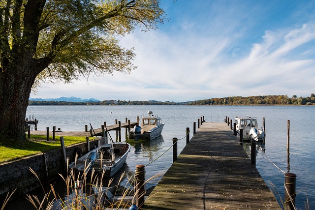 段时间的动 段时间的动