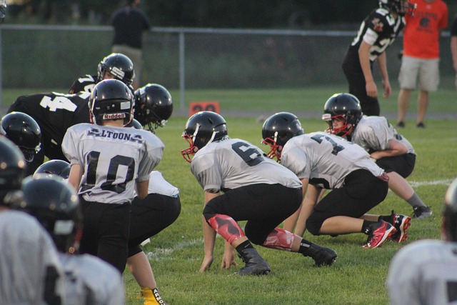 自己表现的 自己表现的