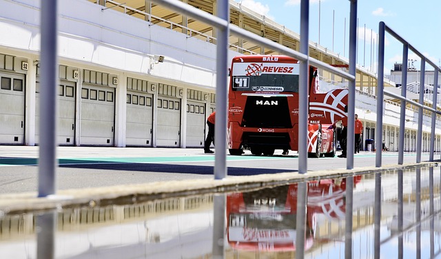 为自己和队 为自己和队