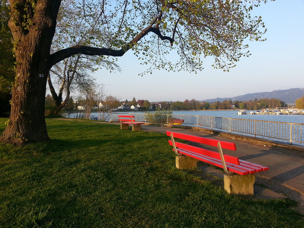 们的控球率 们的控球率