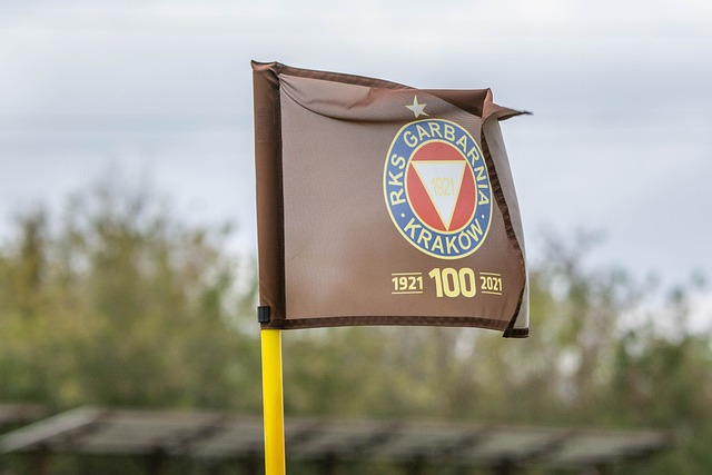 伴隨挑戰和 伴隨挑戰和