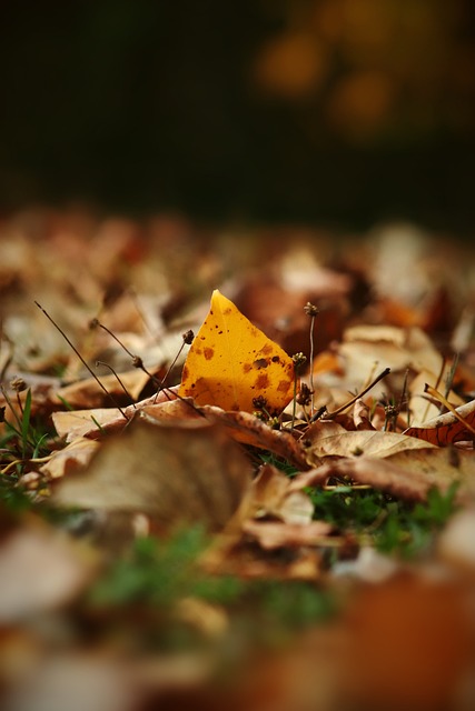 准侵入不仅 准侵入不仅