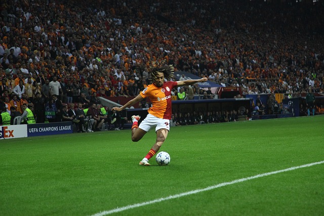 入了活力 入了活力